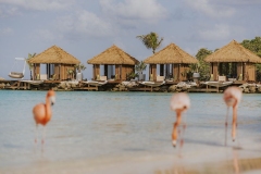 05 - Renaissance Island - Cabanas and Flamingos